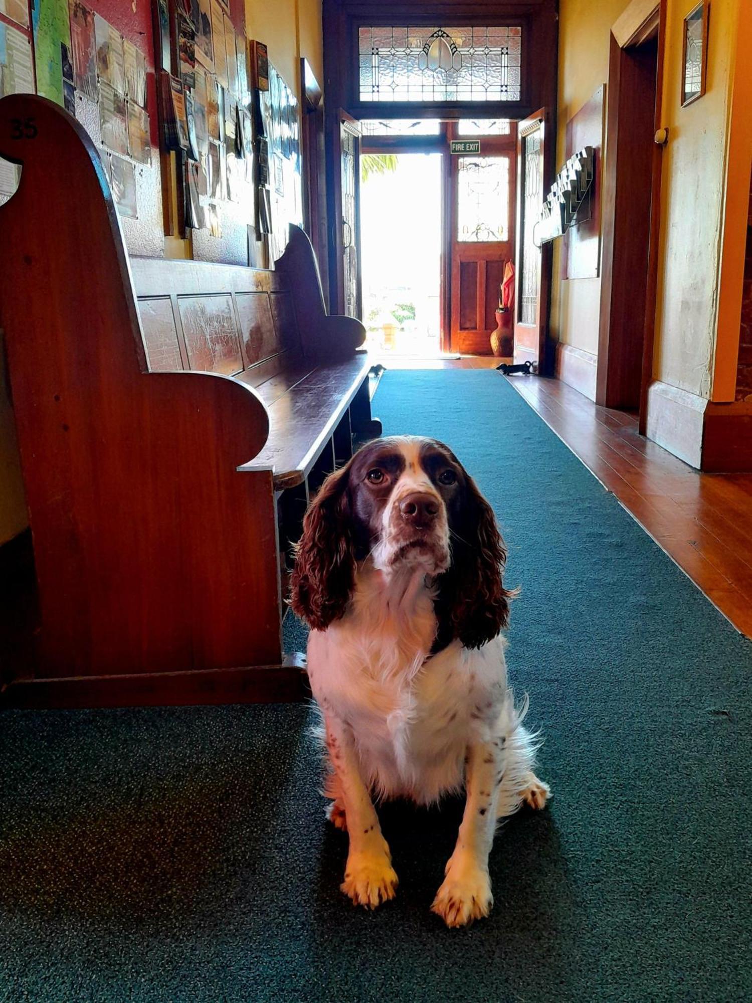 Noah's Ark Backpackers Hostel Greymouth
