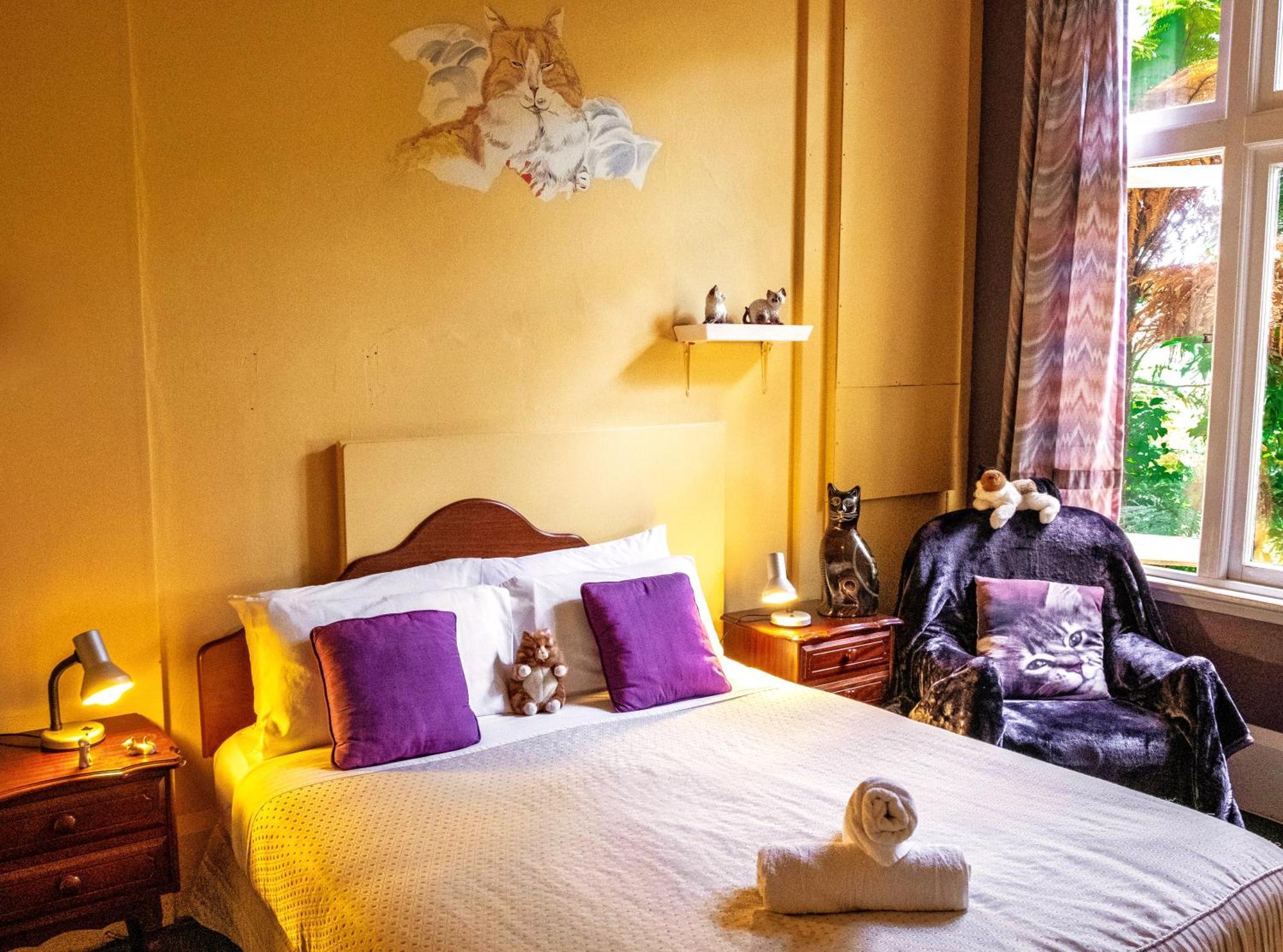 Noah's Ark Backpackers Greymouth